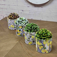 Набор кашпо из керамики 12.5*11.5