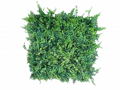 Фитопанно, панель из искусственных растений, 50х50 см.