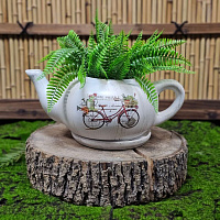 Глиняный горшок ЧЧАЙНИК, 40*16 см