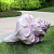 Скульптура из термо-пластика Ракушка, 105*53 см, цвет сиреневый