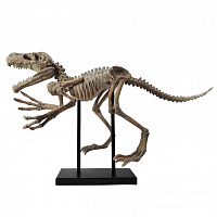 Статуэтка "Скелет тираннозавра", 80х50 см.