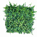Фитопанно, панель из искусственных растений, 50х50 см.