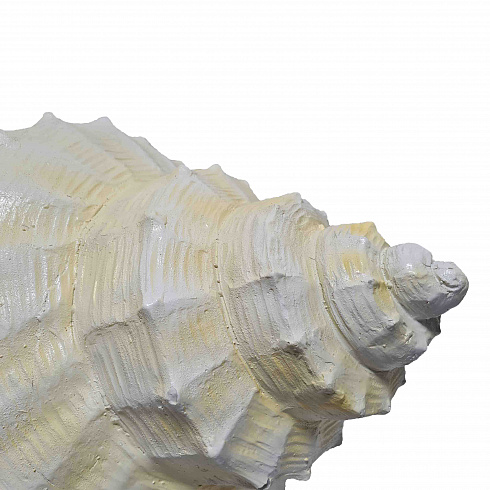Скульптура из термо-пластика РАКУШКА, 98*50 см